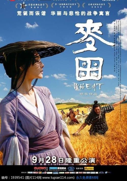 买假的法国驾照多少钱